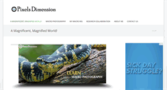 Desktop Screenshot of pixelsdimension.com