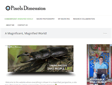 Tablet Screenshot of pixelsdimension.com